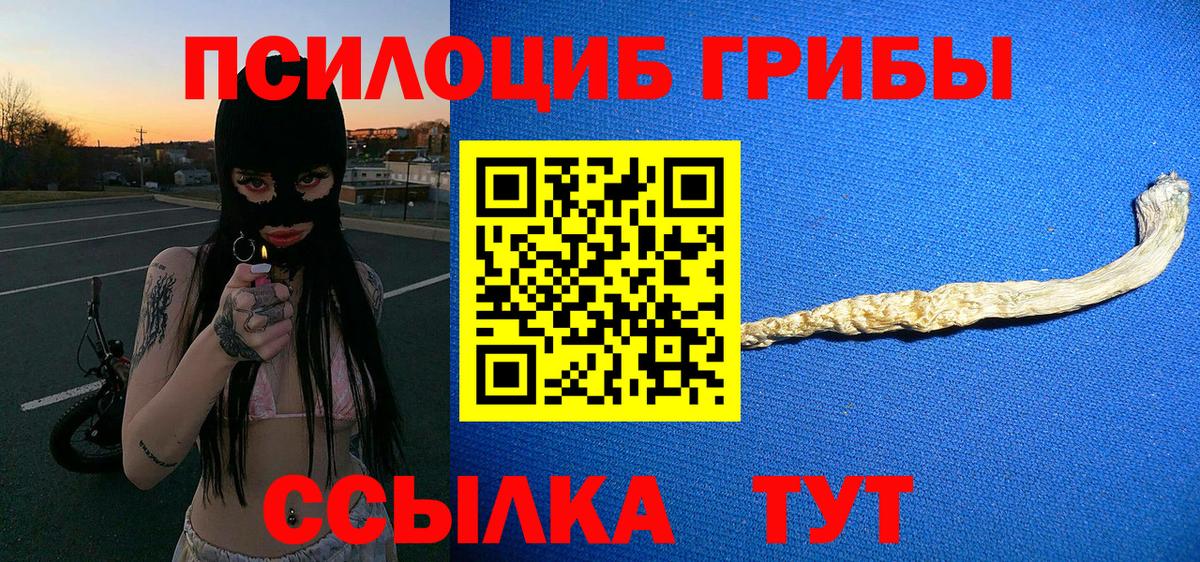 Псилоцибиновые грибы ЛСД Алушта