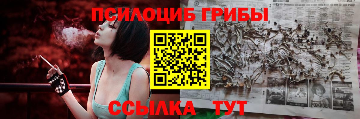 Алушта  Псилоцибиновые грибы прущие грибы  Вход с VPN 
