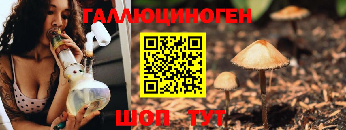 Псилоцибиновые грибы Psilocybe  Алушта  Галлюциногенные грибы прущие грибы 